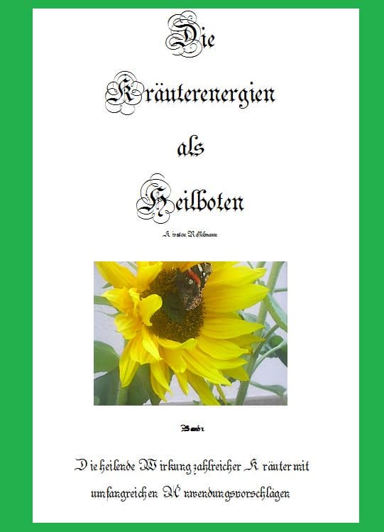 Fachbuch „Die Kräuterenergien als Heilboten“